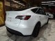 2023 Tesla Model Y AWD in Springfield, New Jersey