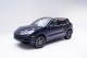 2019  Cayenne S in , 