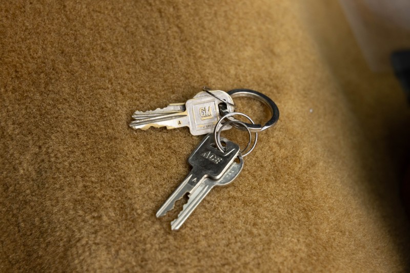 1979 Chevrolet Camaro Z28 in ,