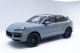 2025  Cayenne  in , 