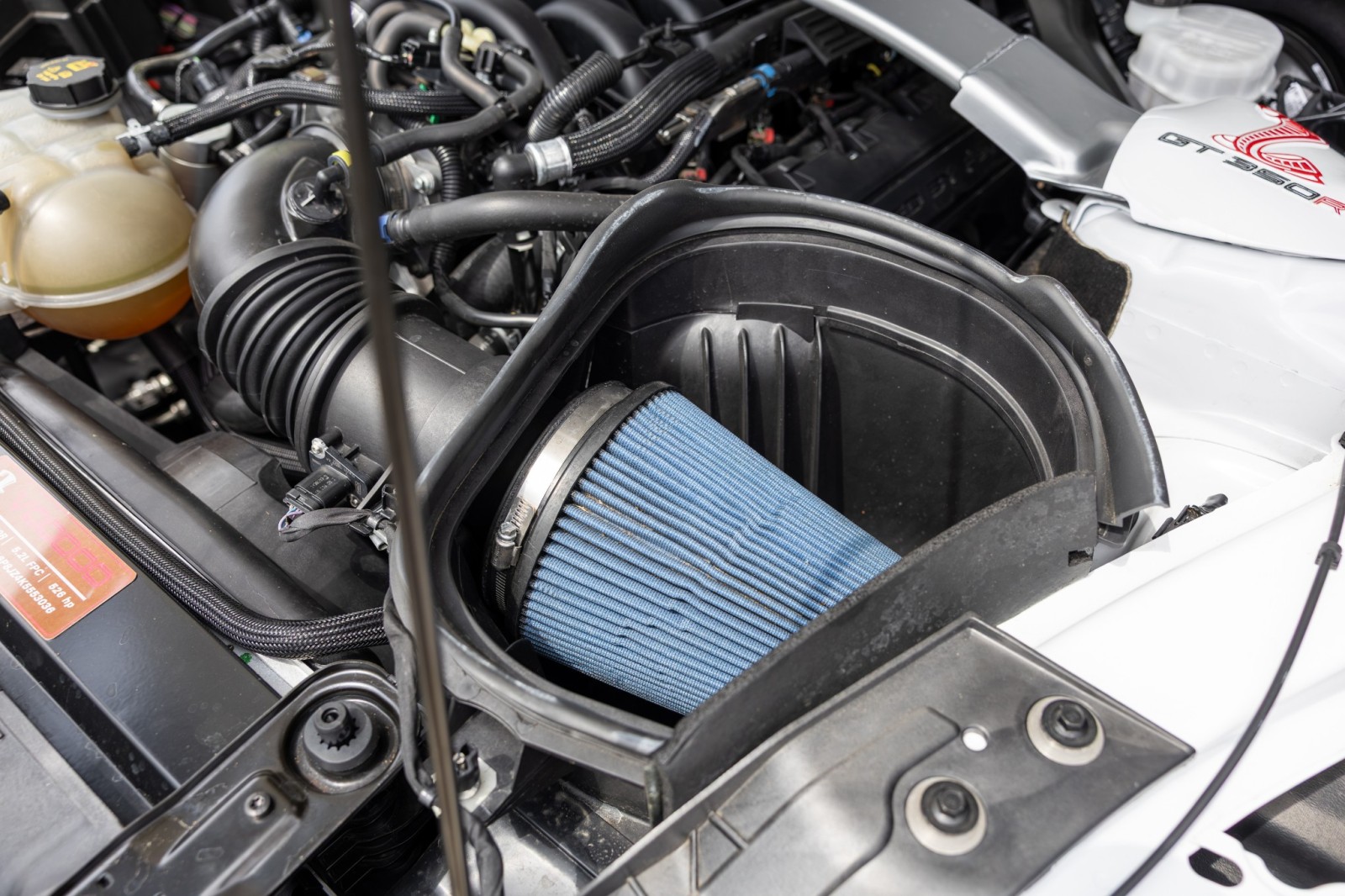 Used Car 2019 Ford Mustang  Shelby Gt350r For Sale Under $100,000 In Boerne, Texas