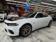 2023 Dodge Charger Scat Pack Widebody in Springfield, New Jersey