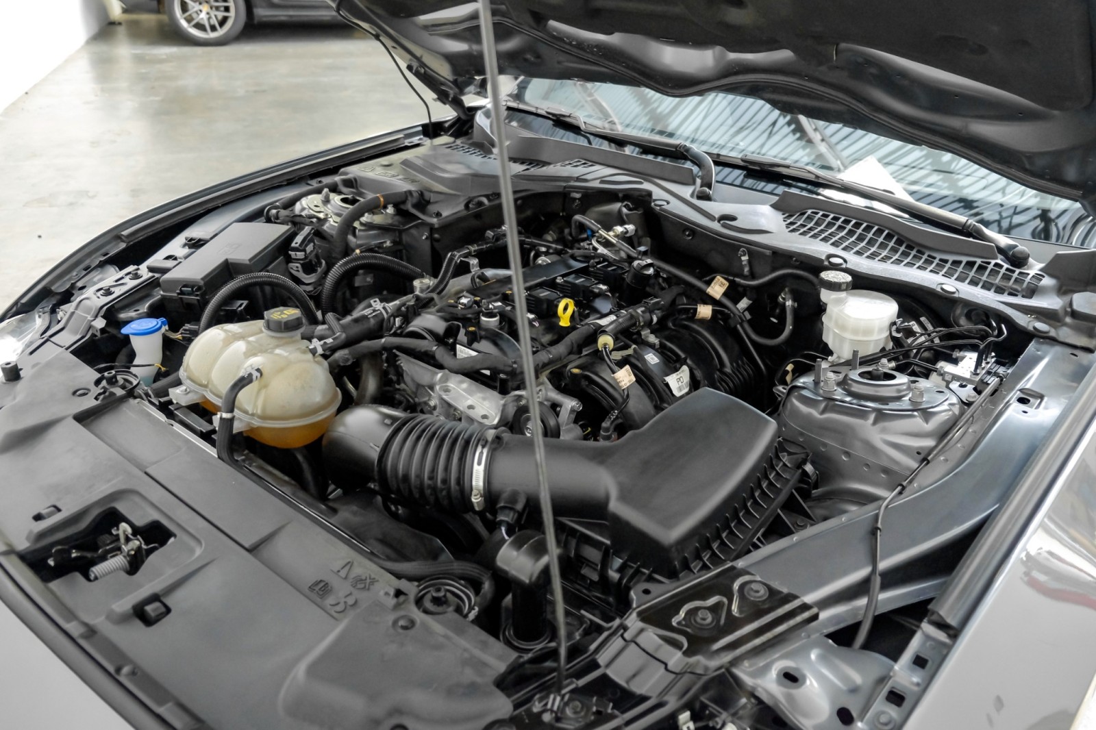 2021 Ford Mustang EcoBoost Fastback Auto 101APkg SafeSoundPkg 20Allo 41