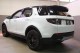 2023 Land Rover Discovery Sport SE in Plainview, 