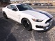 2017 Ford Mustang Shelby GT350 in Ft. Worth, Texas