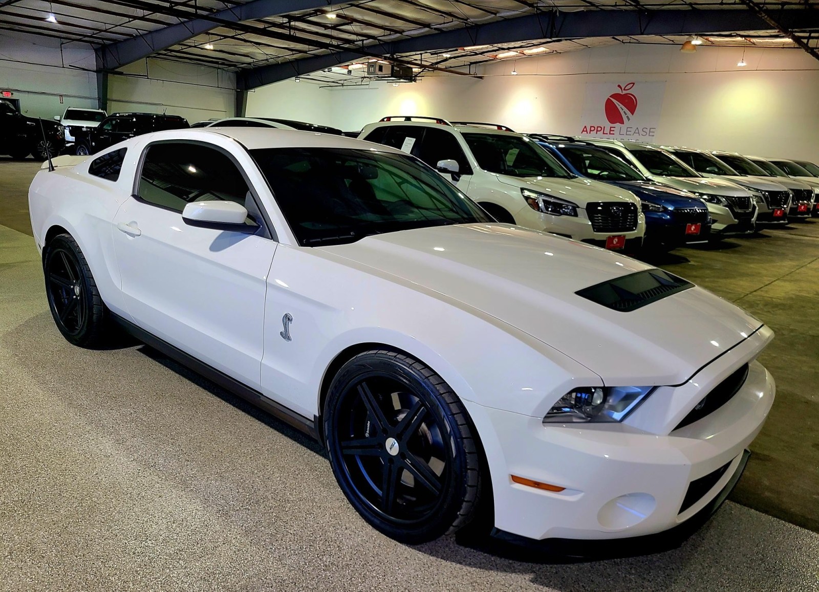 Used Car 2012 Ford Mustang  Shelby Gt500 For Sale Under $50,000 In Austin, Texas