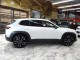 2024 Mazda CX-50 2.5 Turbo Premium Plus AWD in Springfield, New Jersey