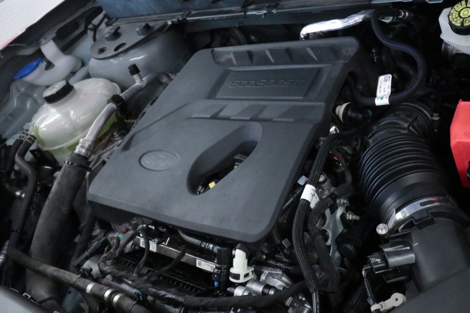 Used Car 2021 Ford Bronco Sport  Big Bend For Sale Under $25,000 In Austin, Texas