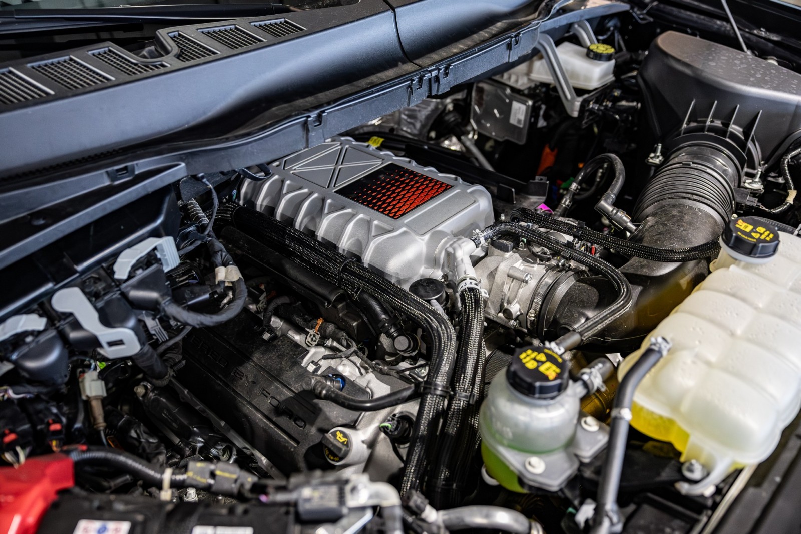 Used Car 2025 Ford F-150  Raptor For Sale Under $140,000 In Boerne, Texas