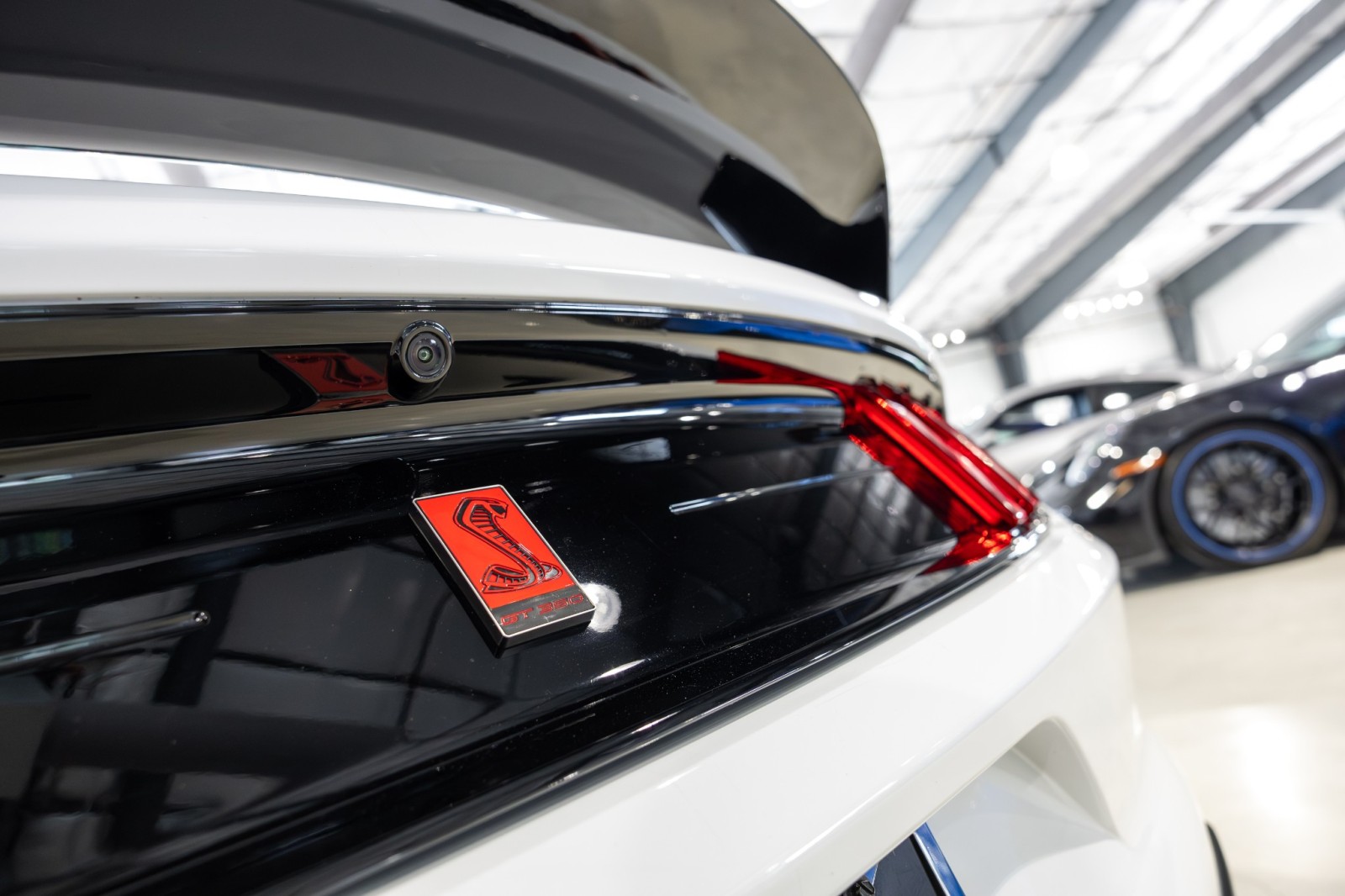 Used Car 2019 Ford Mustang  Shelby Gt350r For Sale Under $100,000 In Boerne, Texas