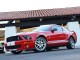 2008  Mustang Shelby GT500 in , 