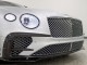 2020 Bentley Continental GT 1 Owner Mansory Body Kit Centenary Specs in , 