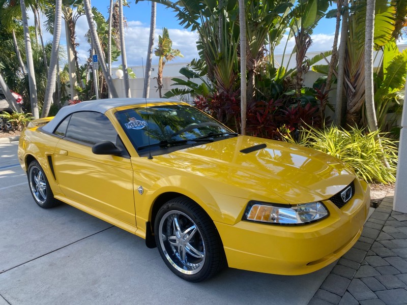 1999 Ford Mustang GT LOW MILES 8,145 1 OWNER FL CONV in , 