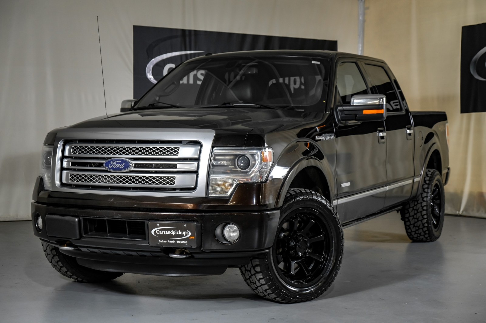 2014 Ford F-150 Platinum 4