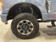2023 Ford Super Duty F-250 SRW Platinum in , 