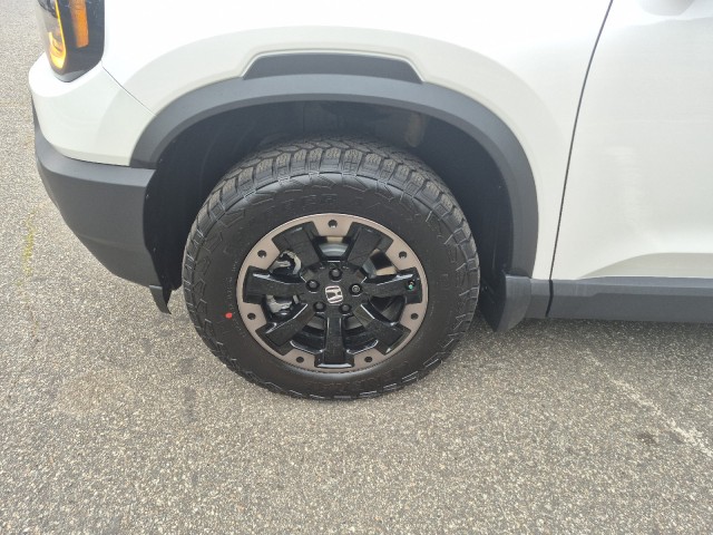 HondaPassport20