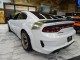 2023 Dodge Charger Scat Pack Widebody in Springfield, New Jersey