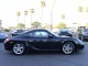 2009  Cayman  in , 