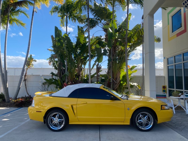 1999 Ford Mustang GT LOW MILES 8,145 1 OWNER FL CONV in , 