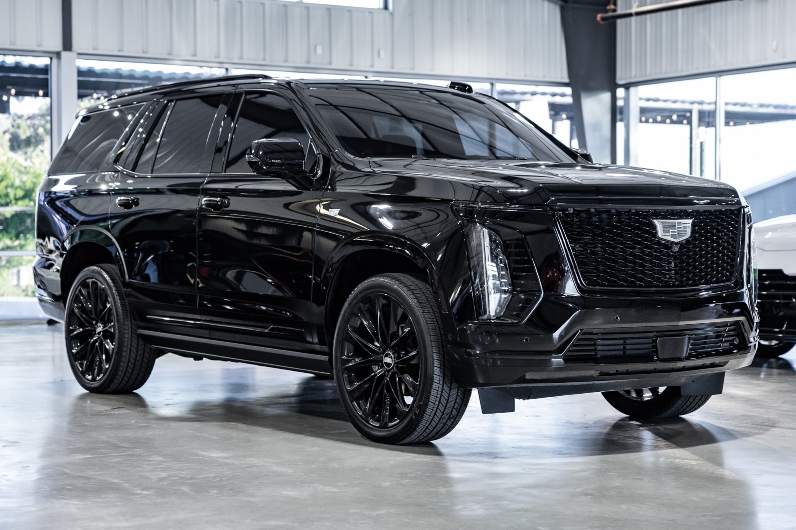 Used Car 2025 Cadillac Escalade  4wd Sport Platinum For Sale Under $130,000 In Boerne, Texas