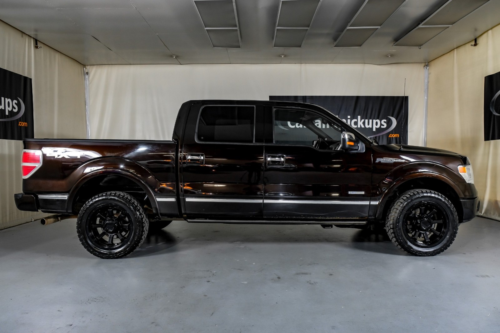 2014 Ford F-150 Platinum 5