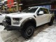 2020 Ford F-150 Raptor 4WD in Springfield, New Jersey