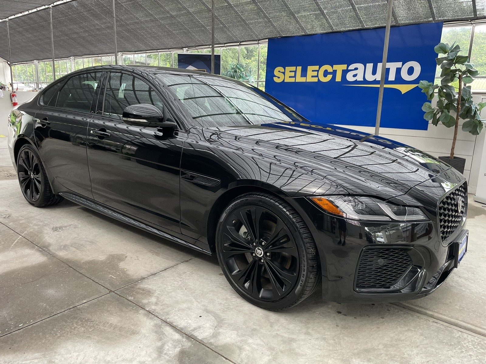 2024 Jaguar XF P300 R-Dynamic SE