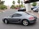 2010  Cayman  in , 