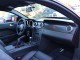 2008  Mustang Shelby GT500 in , 