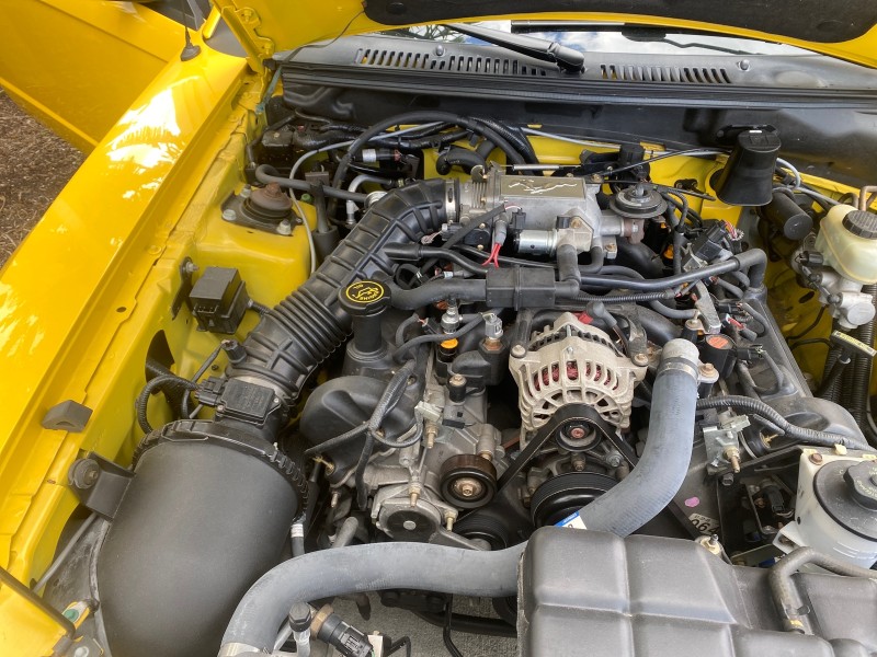 1999 Ford Mustang GT LOW MILES 8,145 1 OWNER FL CONV in , 