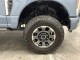 2023 Ford Super Duty F-250 SRW Platinum in , 