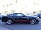 2007  Mustang Shelby GT500 in , 