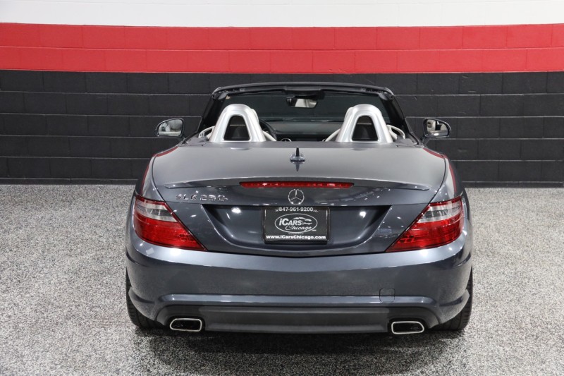 2013 Mercedes-Benz SLK 250 AMG Sport 2dr Roadster in ,