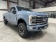 2023 Ford Super Duty F-250 SRW Platinum in , 