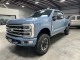 2023 Ford Super Duty F-250 SRW Platinum in , 