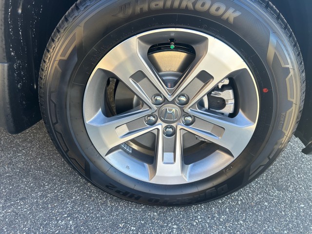 HondaPilot10