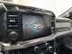 2023 Ford Super Duty F-250 SRW Platinum in , 