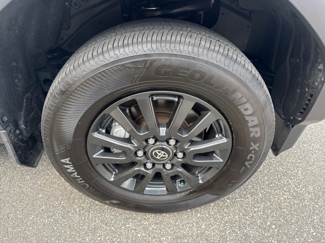 ToyotaLand Cruiser10