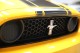 2013 Ford Mustang Boss 302 in Plainview, 