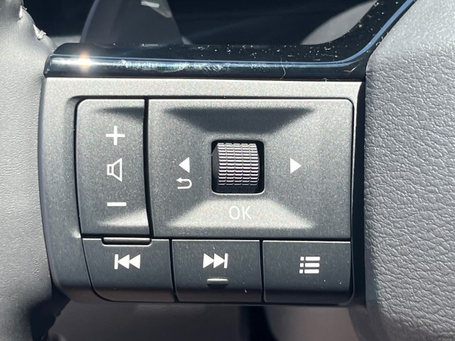 NissanRogue25