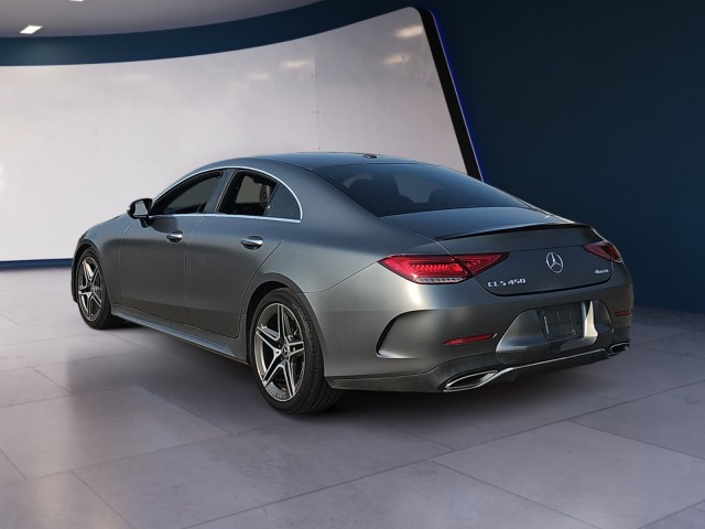 2019 Mercedes-Benz CLS CLS 450 3