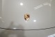 2022 Porsche Taycan 4 AWD in Springfield, New Jersey