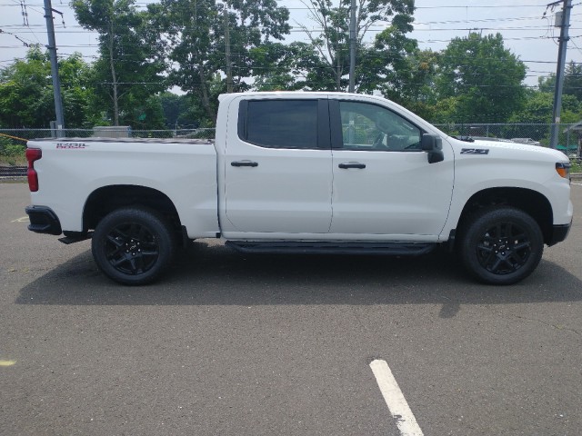 2024 Chevrolet Silverado 1500 Custom Trail Boss 6