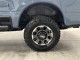 2023 Ford Super Duty F-250 SRW Platinum in , 