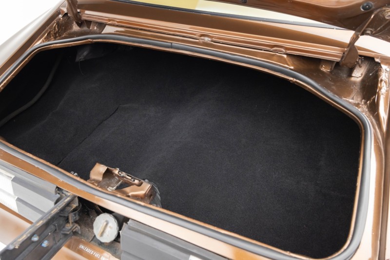 1979 Chevrolet Camaro Z28 in ,