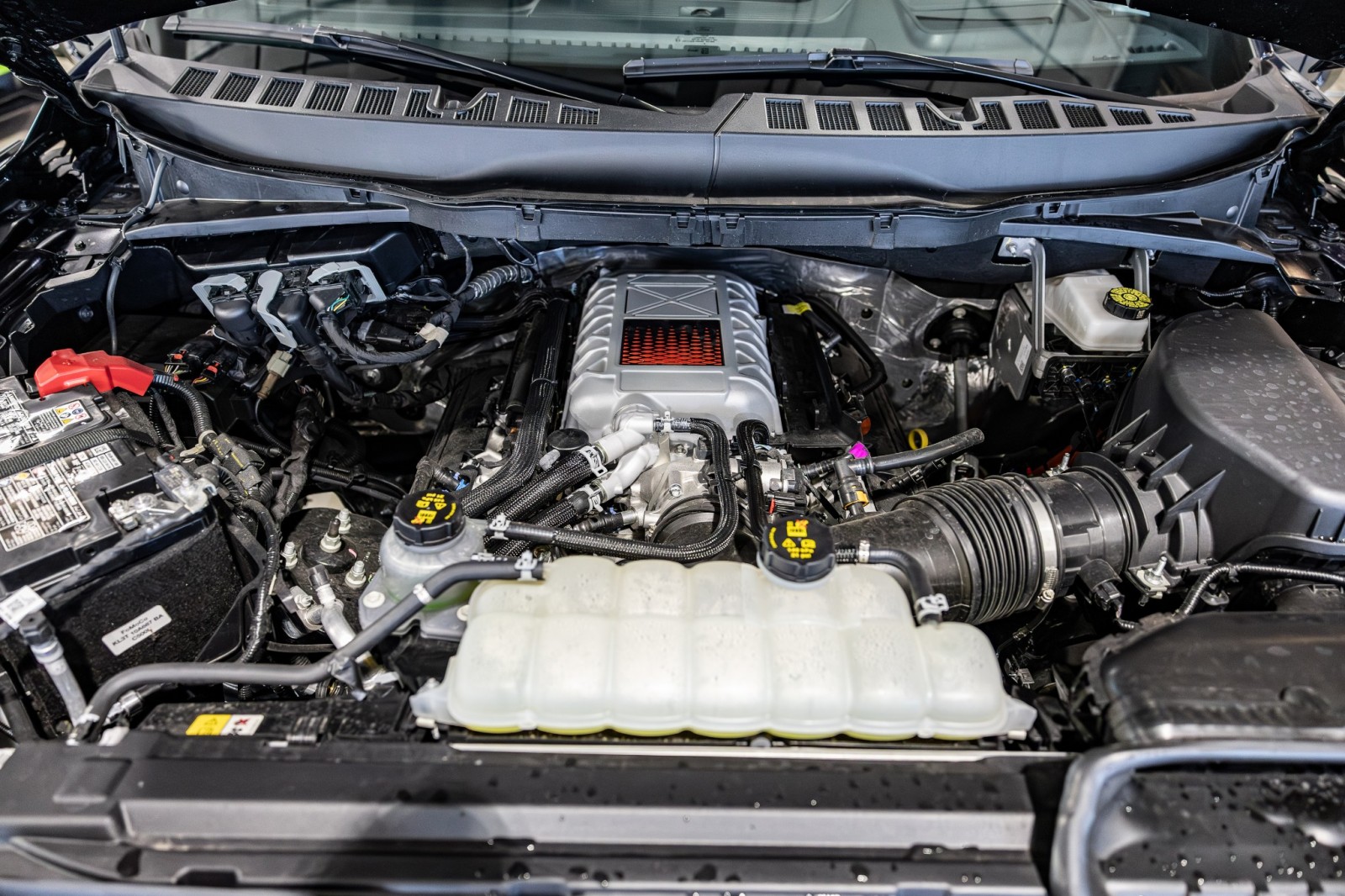 Used Car 2025 Ford F-150  Raptor For Sale Under $140,000 In Boerne, Texas