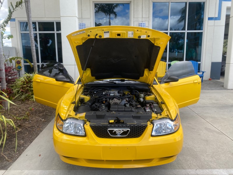 1999 Ford Mustang GT LOW MILES 8,145 1 OWNER FL CONV in , 