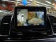 2017 Mercedes-Benz GLS GLS 450 AWD in Springfield, New Jersey