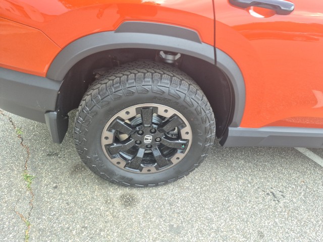 HondaPassport18