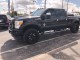 2015 Ford Super Duty F-250 SRW Platinum in Ft. Worth, Texas